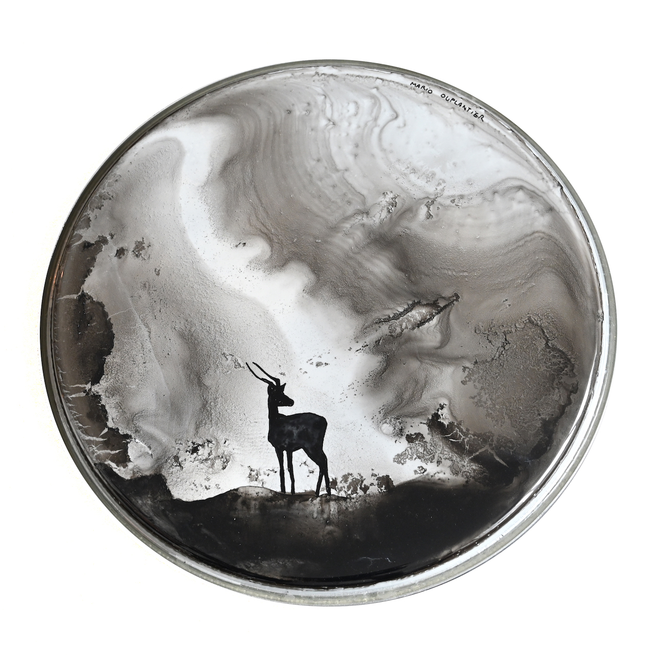 New series of paintings on drumheads from Mario’s recent drum solos Mario Duplantier Art Gallery