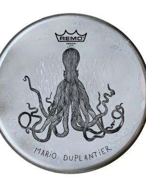 Octopus from Narvik